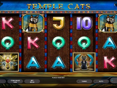 Заставка выпуска Temple Cats