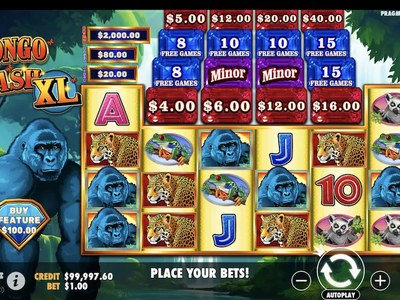 Congo Cash Xl ждёт первого круга
