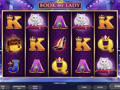 Book of Lady: полка автоматов клуба